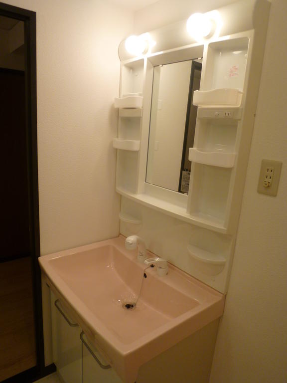 Washroom. Shampoo dresser