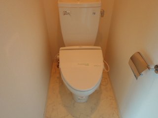 Toilet. Toilet