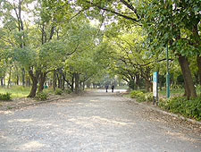 park. 200m to Fukiage Park (park)