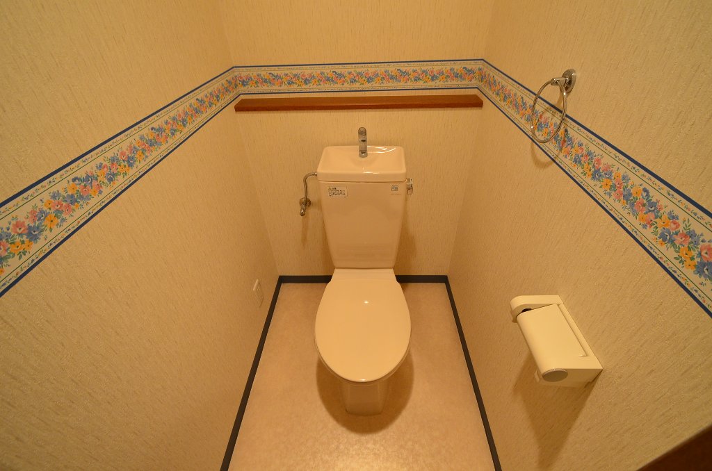 Toilet. Toilet