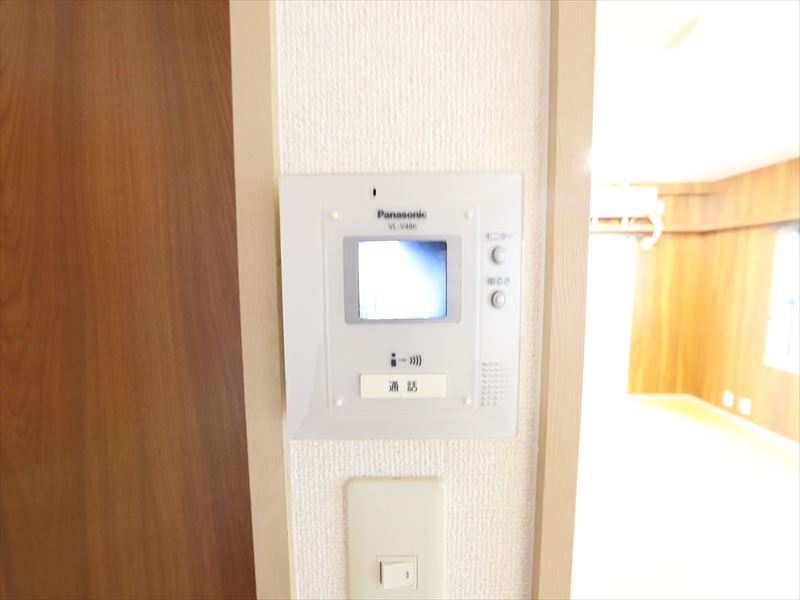 Security. Monitor with intercom