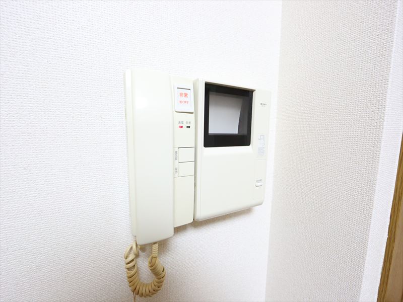 Security. Monitor with intercom