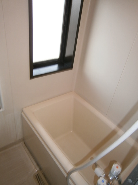 Bath. Bathing with a ventilation window