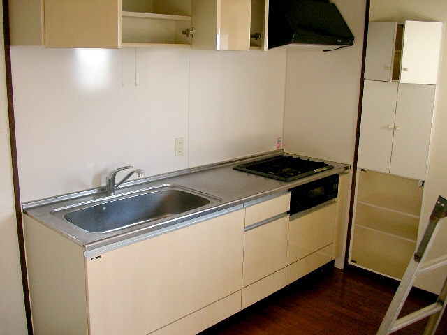 Kitchen. Plenty of system kitchen storage