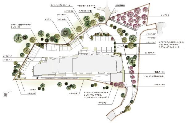 Features of the building.  [Land Plan] As a stage of mellow Naru life, I want to be a mansion going polished real value in each time overlapping the time. In the Property, The original idea of ​​such secular true value, While taking advantage of the natural shape of this land unique, It has been penetrated designed to deepen and to further appeal. For example,, Driveway approach leading to the mansion on the hill to feel the tranquility. Wild cherry tree is planted in response to a place called Sakuragaoka is on the north side of the slope, Create a mansion scenic beauty of the trees of growth. further, Cobblestone is laid on the road to enter the "Peace Park ten thousand step course" from the driveway, The appearance to increase the texture with Years, You also enhanced the asset value of as any vintage (site layout)