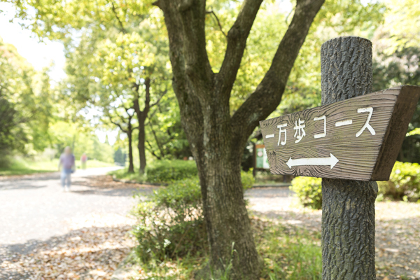 Surrounding environment. Peace Park (a 15-minute walk ・ About 1140m)