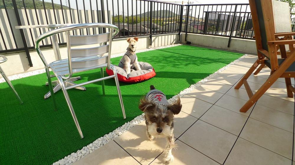 Other. Rooftop balcony Can also be used as a dog run.