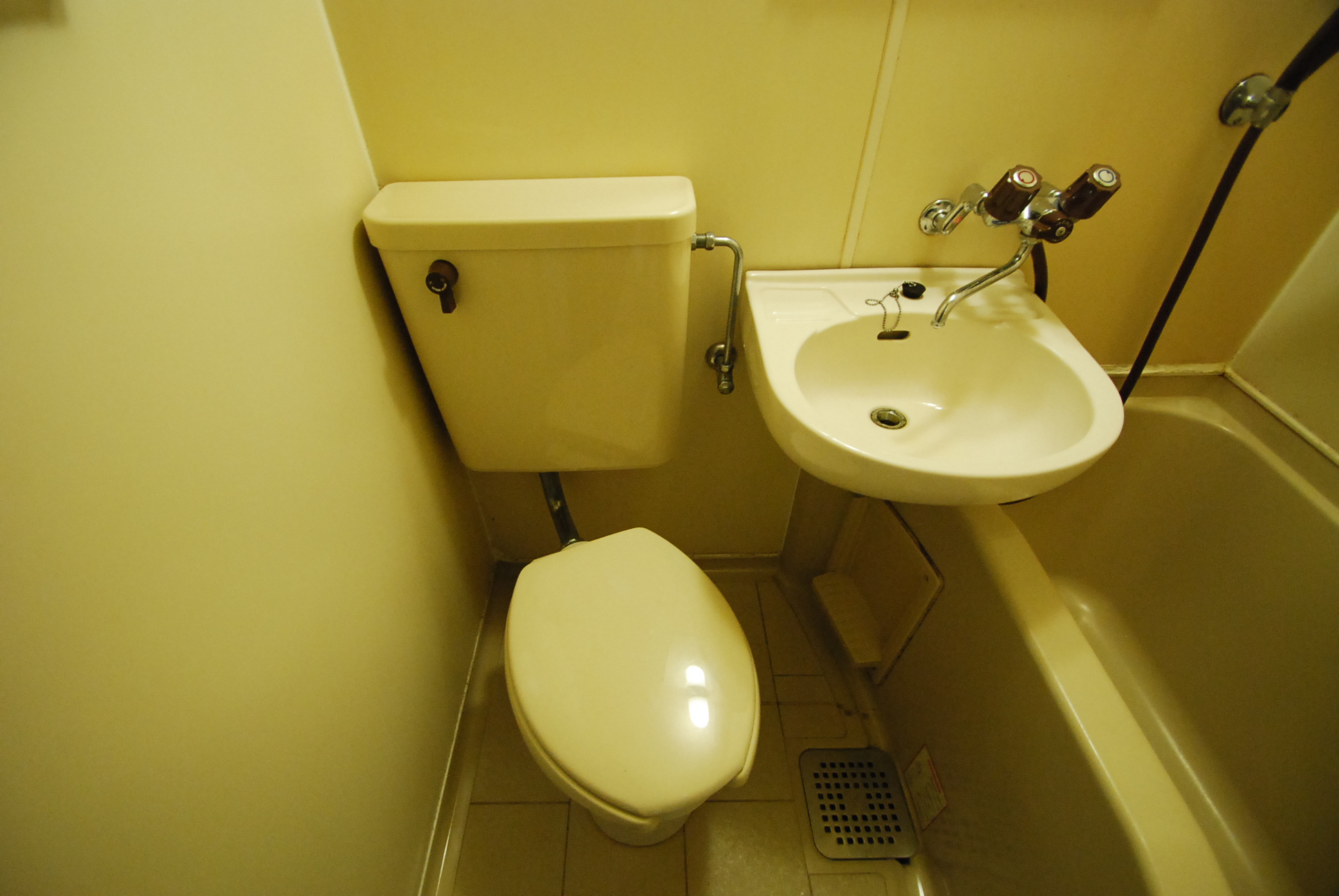 Toilet. Toilet