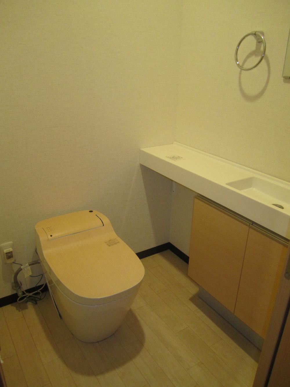 Toilet. First floor toilet