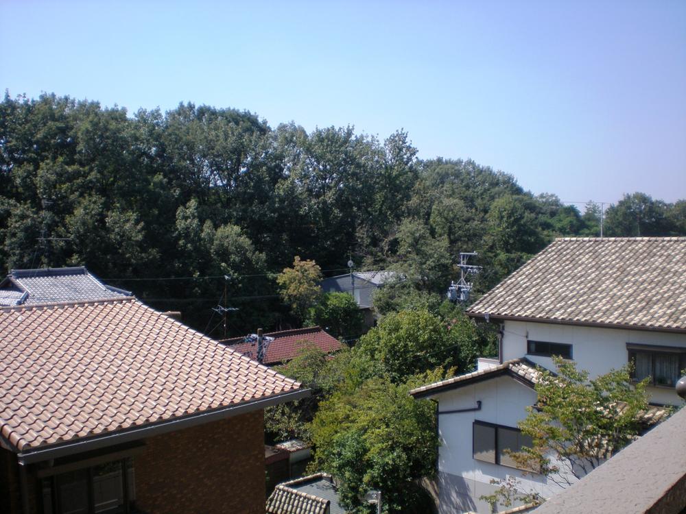 View photos from the dwelling unit. Facing south