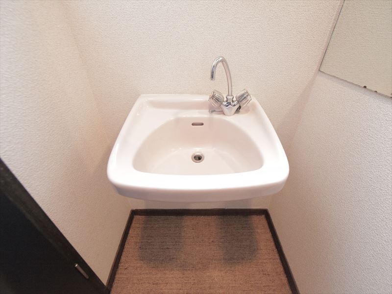 Washroom. Dressing room Independent wash basin with