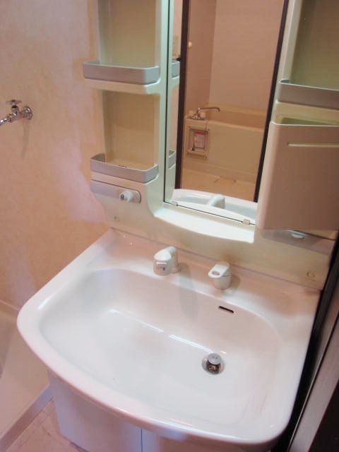 Washroom. Shampoo dresser