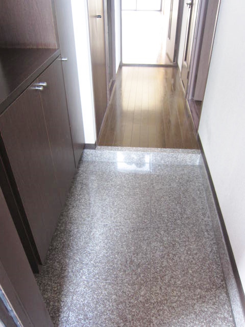Entrance. Entrance Shoe box