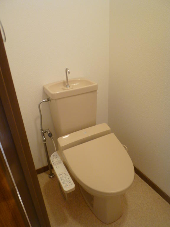 Toilet. WC With Washlet