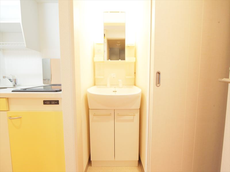 Washroom. Shampoo dresser