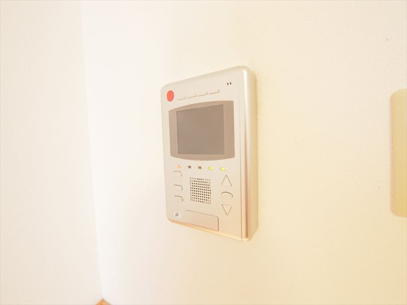 Security. Monitor with intercom