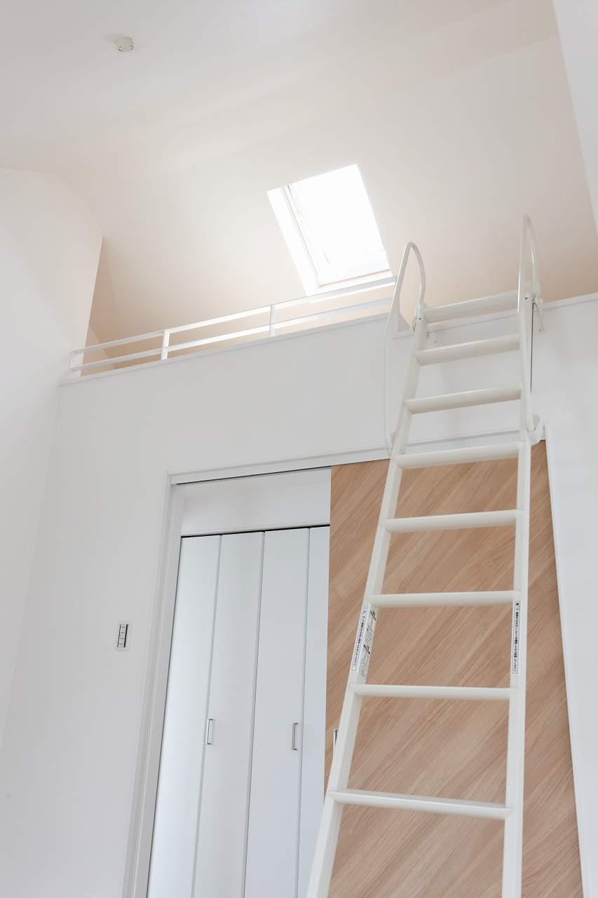 Non-living room. Bright, open to two-plane daylight + skylight.