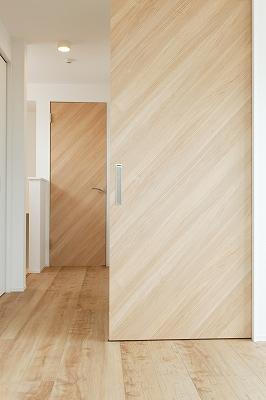 Other introspection. Door of Haidoa specification of Wood.