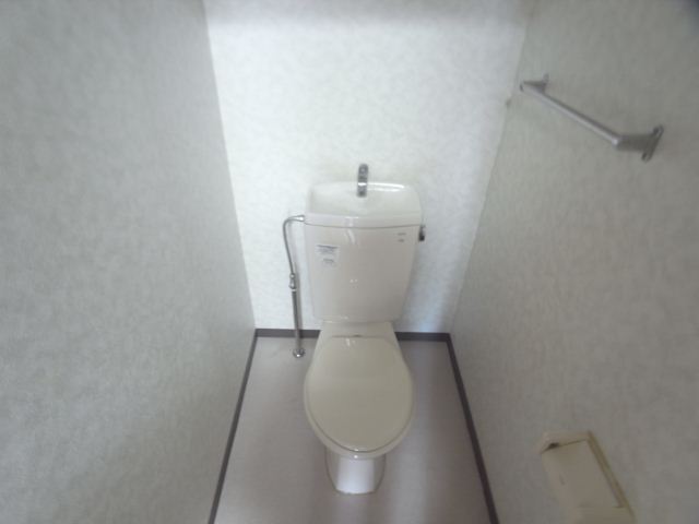 Toilet. Toilet