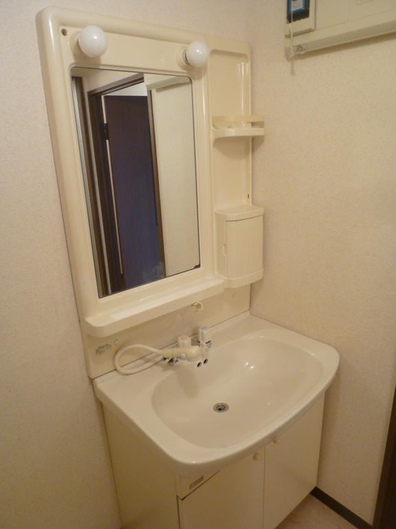 Washroom. Shampoo dresser