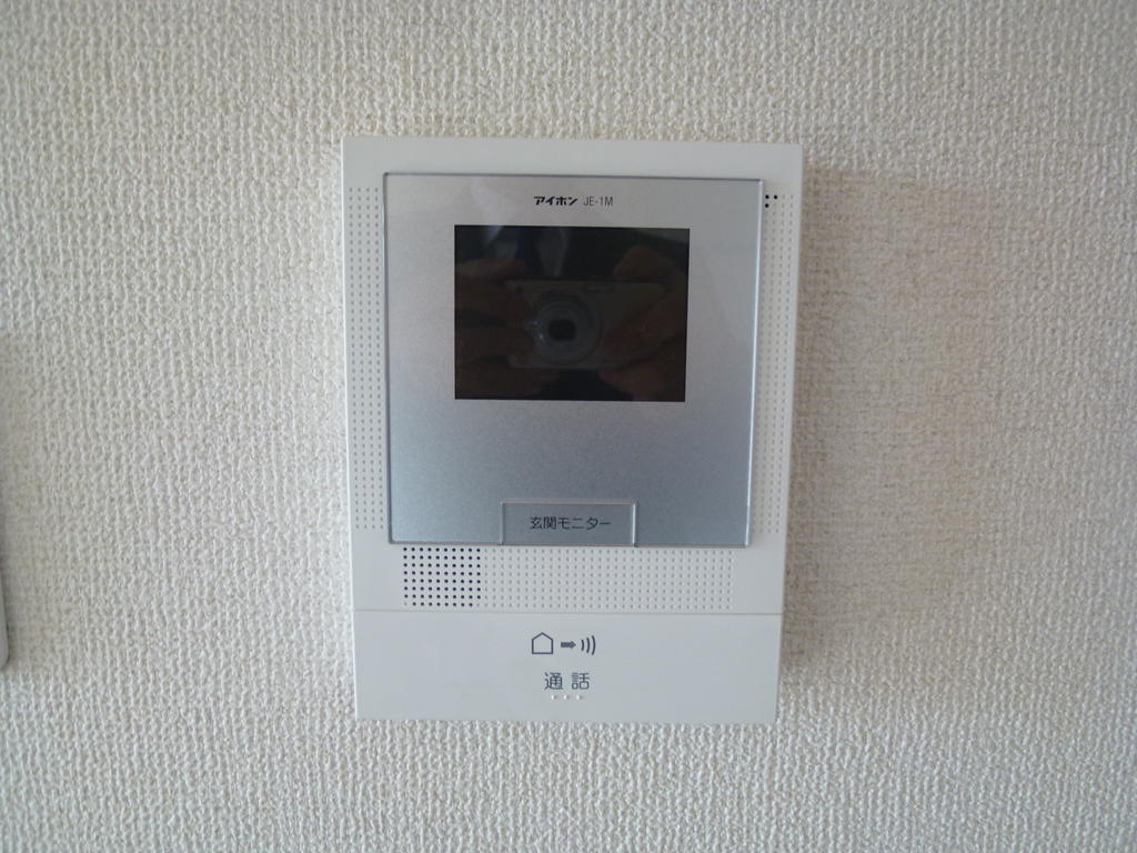 Security. Intercom with TV monitor