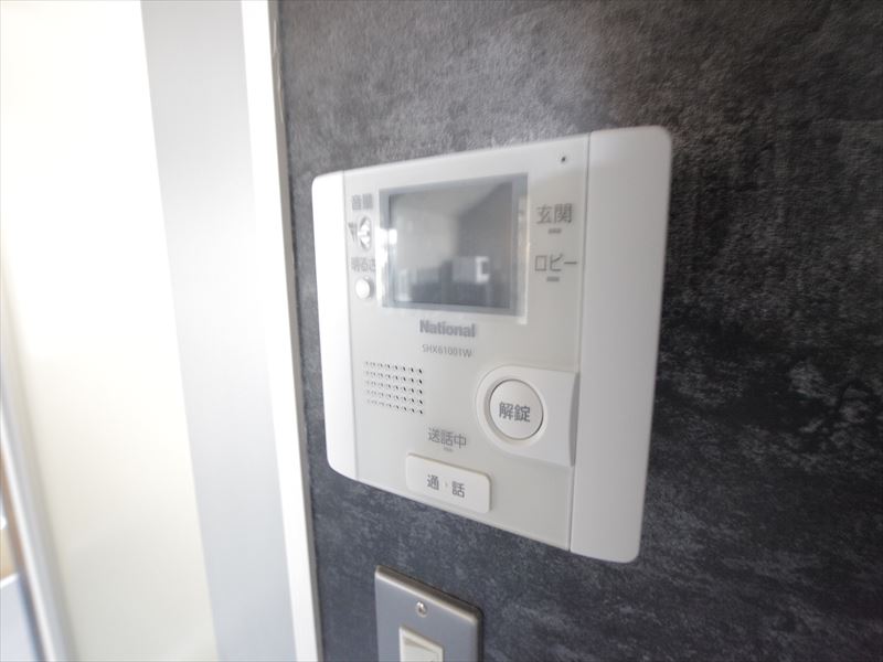 Security. Monitor with intercom