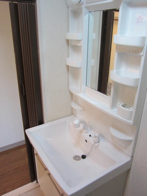 Washroom. Shampoo dresser