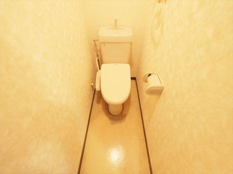 Toilet. With warm water washing toilet seat