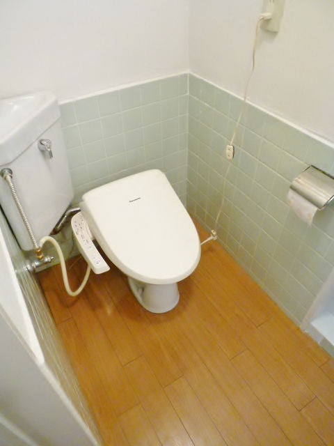 Toilet. WC Shower type