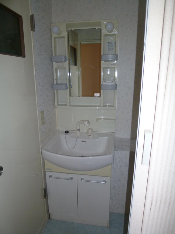 Washroom. Shampoo dresser