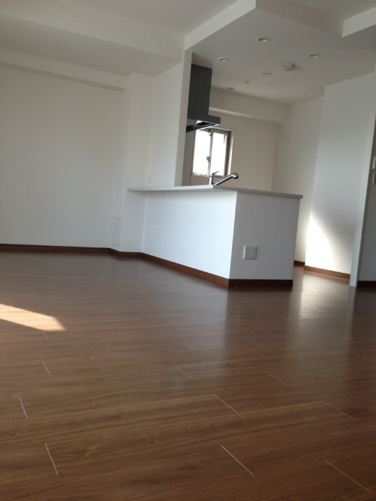 Living and room. Living