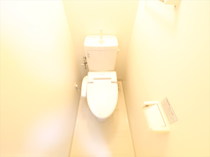 Toilet. With warm water washing toilet seat