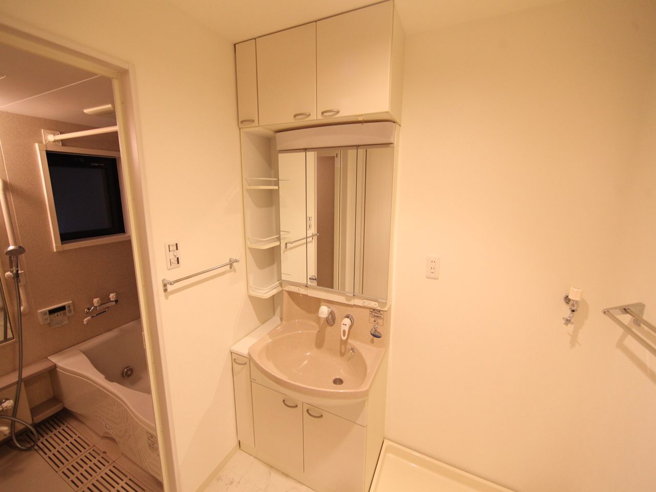 Washroom. Dressing room (with shampoo dresser)