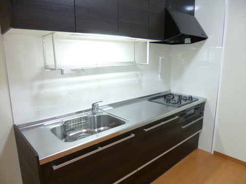 Kitchen. System kitchen new