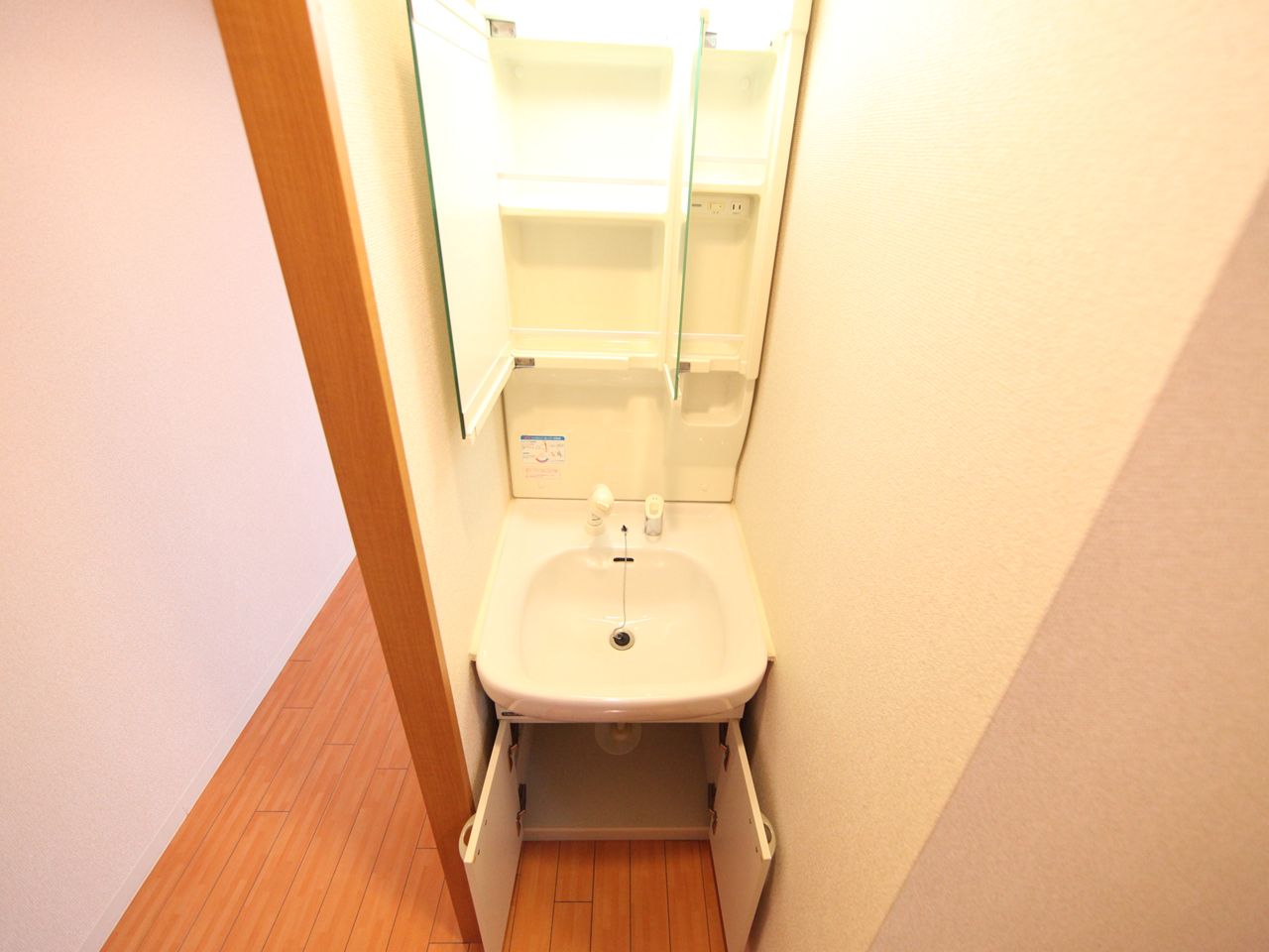 Washroom. Dressing room Separate vanity (with shampoo dresser)