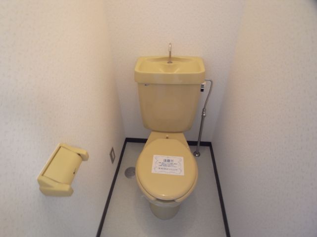 Toilet. A height storage space