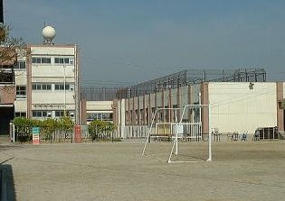 Primary school. Find up to elementary school (elementary school) 350m