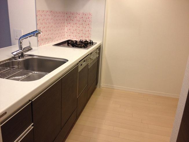 Kitchen. Dishwasher system Kitchen