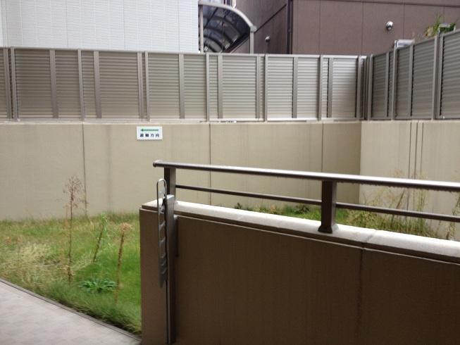 Garden. Private garden about 95 sq m