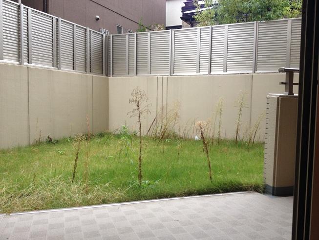 Garden. Private garden about 95 sq m