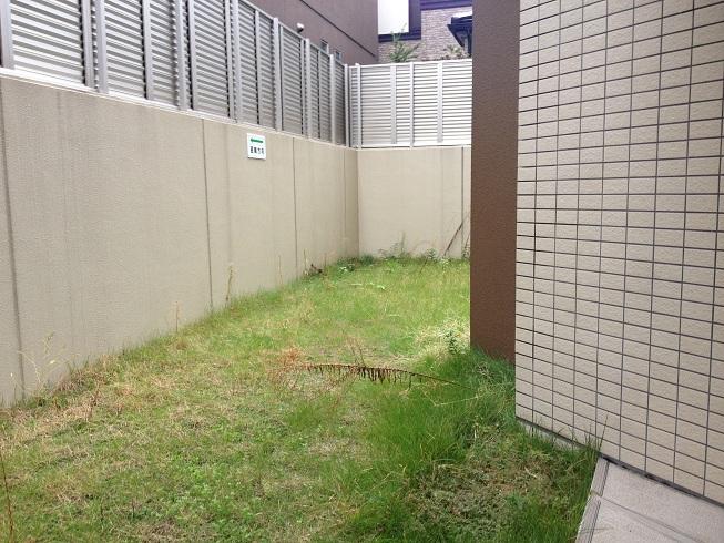 Garden. Private garden about 95 sq m