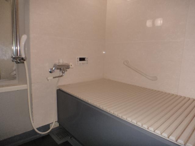 Bathroom. Indoor (11 May 2013) Shooting