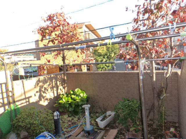 Garden. Local (11 May 2013) Shooting