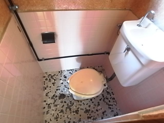 Toilet. Toilet