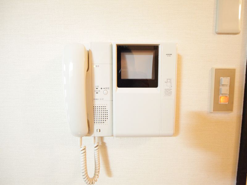 Security. Monitor with intercom