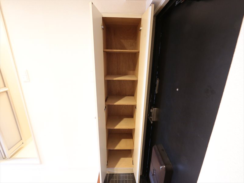 Other. Shoe box