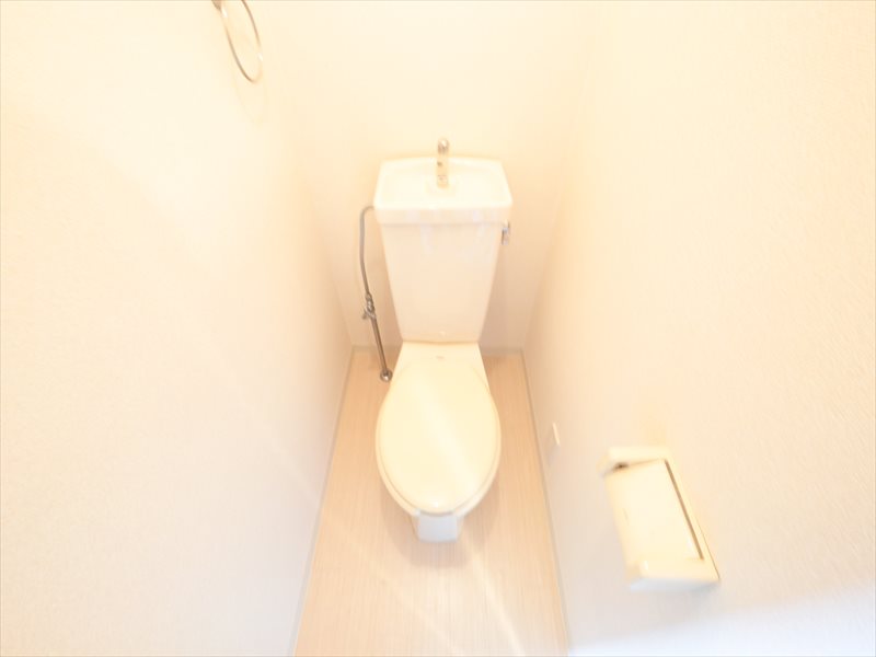 Toilet. Warm water washing toilet seat mounted Allowed