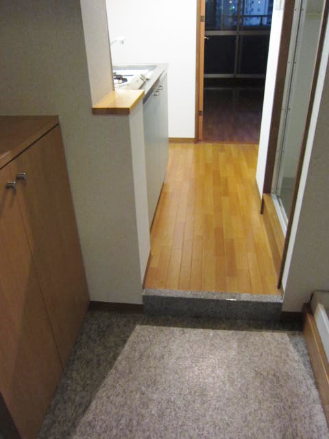 Entrance. Entrance Shoe box