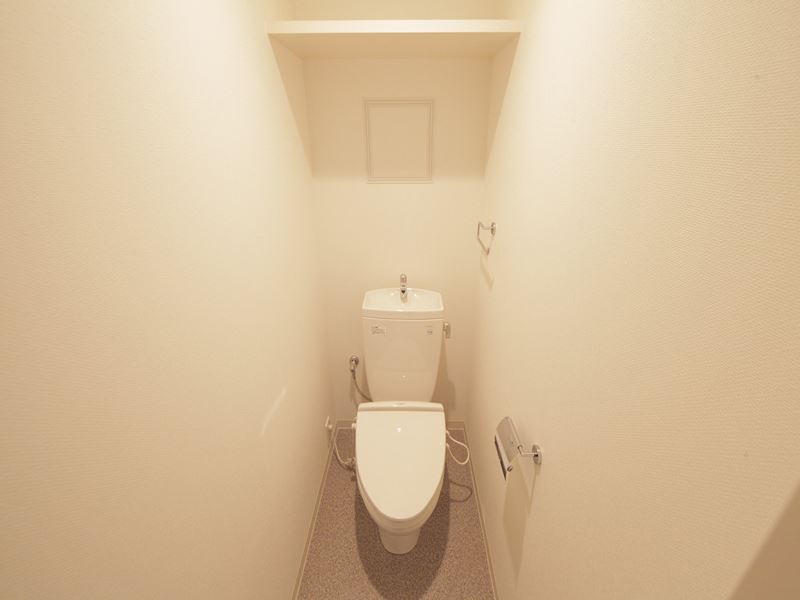 Toilet. Warm water washing toilet seat mounting possible