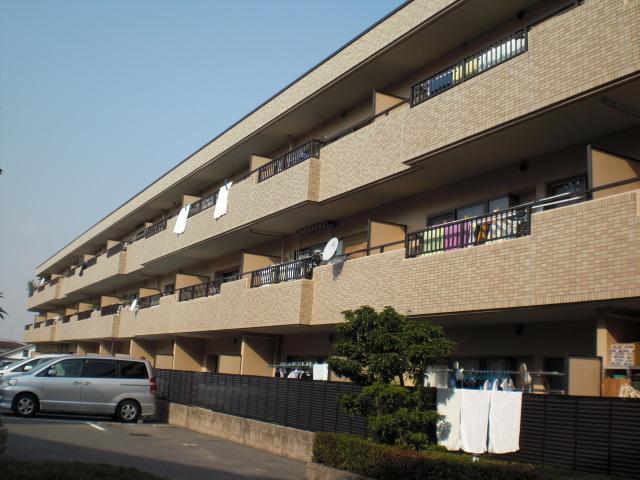 Local appearance photo. Indoor (12 May 2013) Shooting